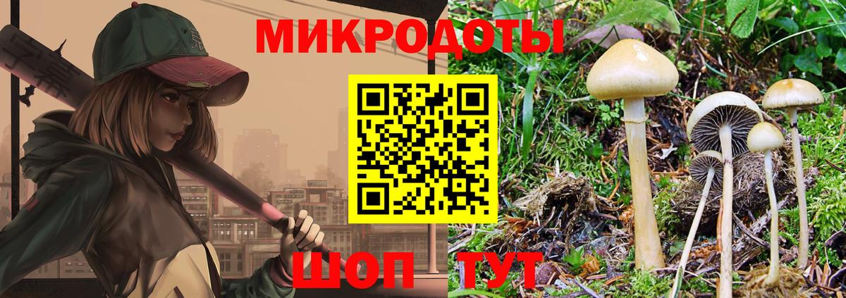 закладка  Вход с VPN  Чебаркуль  Псилоцибиновые грибы ЛСД 