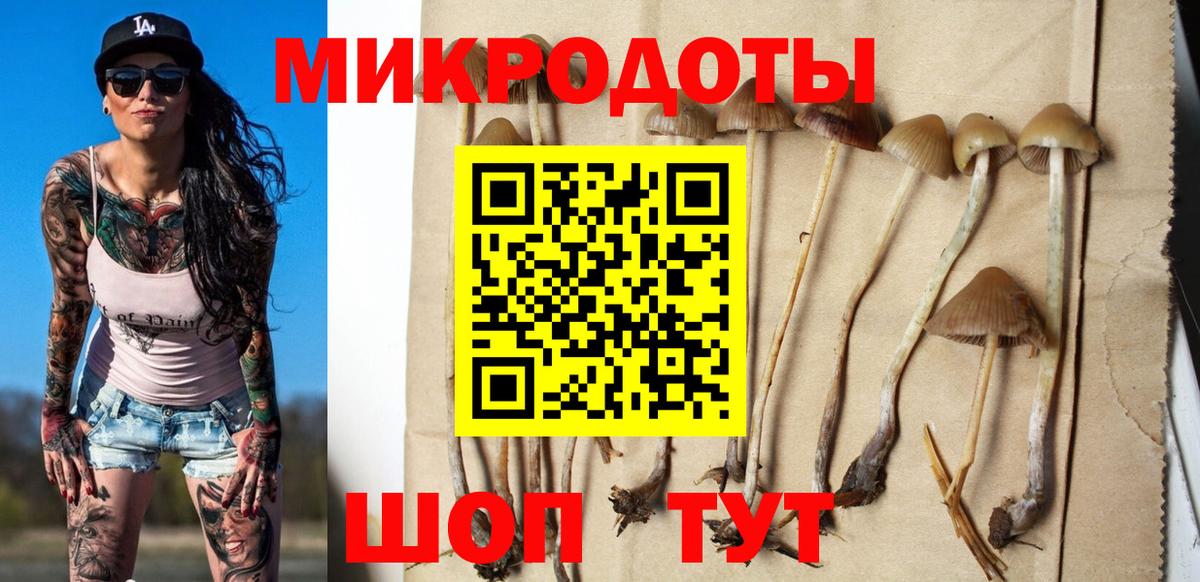 Галлюциногенные грибы прущие грибы Чебаркуль